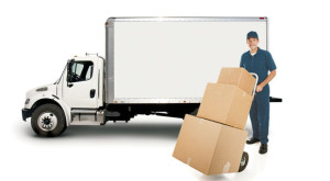 professional moving service