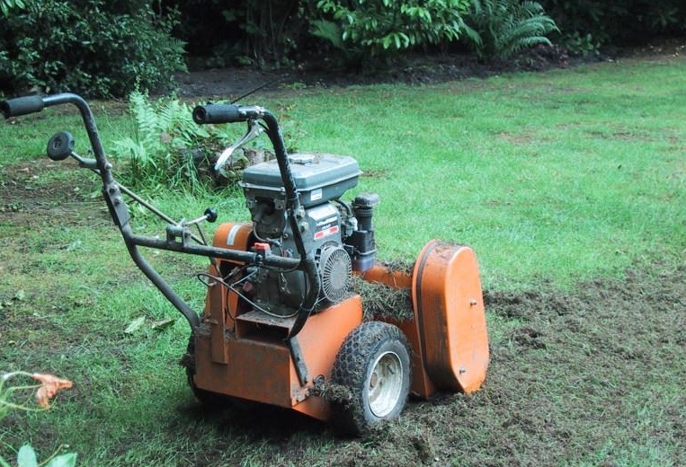 Buying A Scarifier Guide