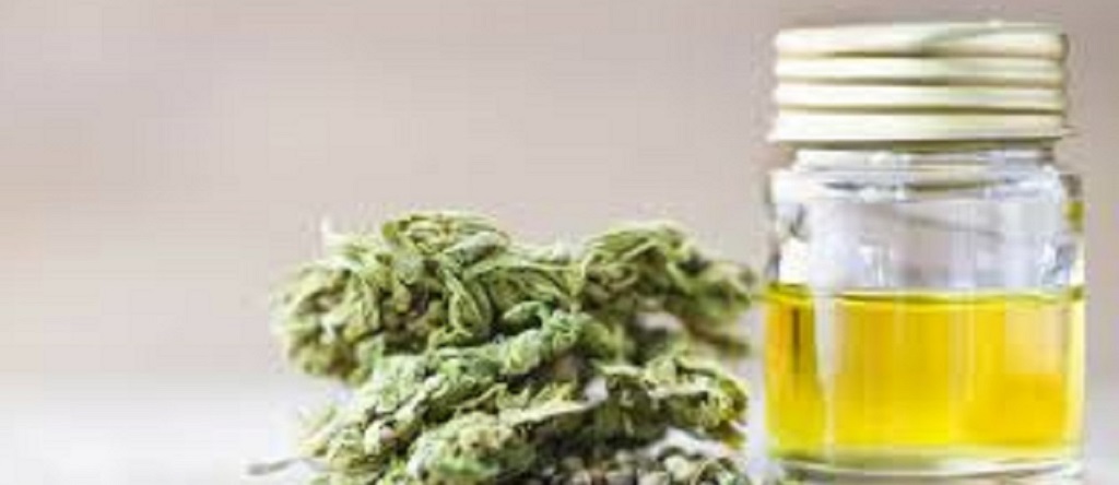 Oil and dry cannabis